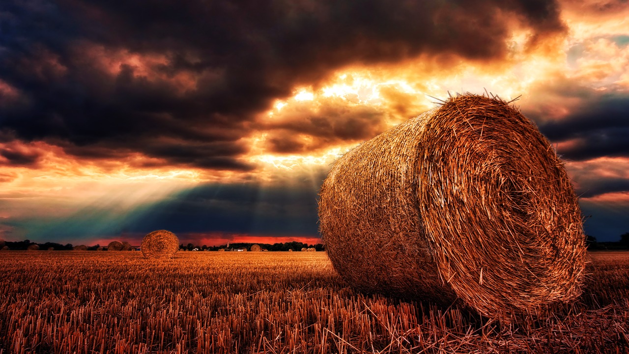 Sleeping in the Harvest- How to Make Sure Your Real Estate Harvest is Picked