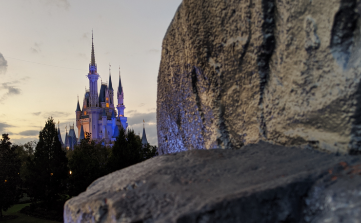 Disney Magical Kingdom